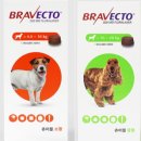 삼산 동물약국 이미지