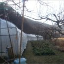 먹골사슴농장 이미지