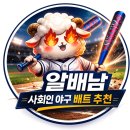 다이하드 | 티라노스포츠 다이하드 2.3 시타 후기 | 2026 알로이 배트 실사용 리뷰