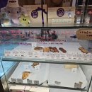 까까미용실 | 전주 버터떡 파는곳 쌀까까 만성동 저당 디저트 맛집