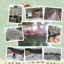 정심축산 이미지