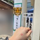 [정보]7만원 히피펌 성지 미용실 후기(안암역 이수란 헤어뉴스/서울 파마 저렴한 미용실/히피펌 성지 비교)