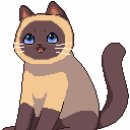 야옹야옹