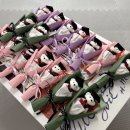 민정사주카페 | 2월이랑 3월은 너무 달라서 당황스럽고