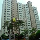 소촌로 Daum카페