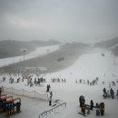 구로견인차량보관소 이미지