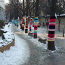 365밝은안과의원 이미지