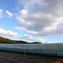 해풍농장 이미지