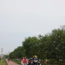 장애인 Daum카페