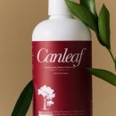 밸런스 바디디자인 이미지