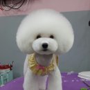 멍쌀롱 이미지