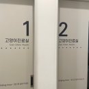 연동물병원 이미지