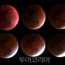 남대천R 이미지