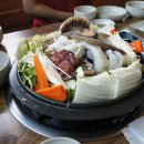 조가네갑오징어 이미지