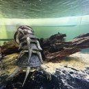 브리딩 팜 이미지