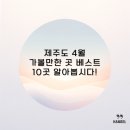 원연장마을 | 제주도 4월 가볼만한 곳 베스트 10곳 알아봅시다!