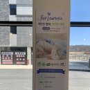 화이트365천안단국대점 네이버블로그