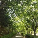 남양동산 | [화성 가볼만한곳] 남양성모성지 산책｜마리오 보타 대성당·소품샵 후기