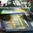 작품6(주사위) 이미지