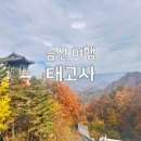 태고사 | 금산 태고사 단풍 맛집 인정! 단풍구경 여긴 무조간 가보세요