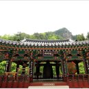 삼하사