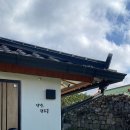 완두콩스테이 이미지