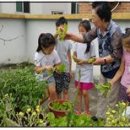 성가정어린이집 이미지