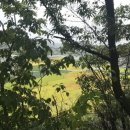 사선대농장 이미지