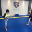 서구 열정태권도장 이미지