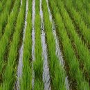 한강둔치길 이미지