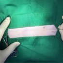 대흥동물병원 이미지