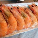 서해바다영어조합법인 이미지