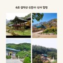 중앙동241 이미지