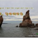솔밭횟집 티스토리
