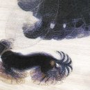 (주)엔트로피 이미지