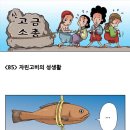 신고금 Daum카페
