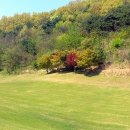 부부제세한의원 이미지