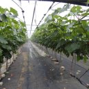 아곡농장 이미지