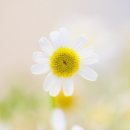 더(The) 느낌 이미지