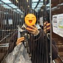 한국비주얼(주) | 11월 셋째주: 자취 n일차 후기