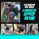 신선동-10 네이버블로그