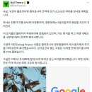 구글, 미국에 모기 3,200만 마리 풀겠다고 EPA에 허가 신청 이미지