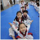 키즈태권도장 이미지