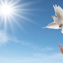 스마트하우스K 이미지