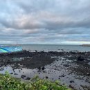 삼미횟집제주공항점 | [내돈내산 리뷰] 제주공항 근처 삼미횟집 포장 솔직 후기｜스끼다시·튀김·쌈채소까지 만족!