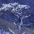 019-문산-019 이미지