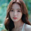 특별한 보태니컬 이미지