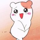 사주세요 네이버블로그