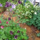 희석농장 이미지