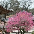 통도사IC(서울)